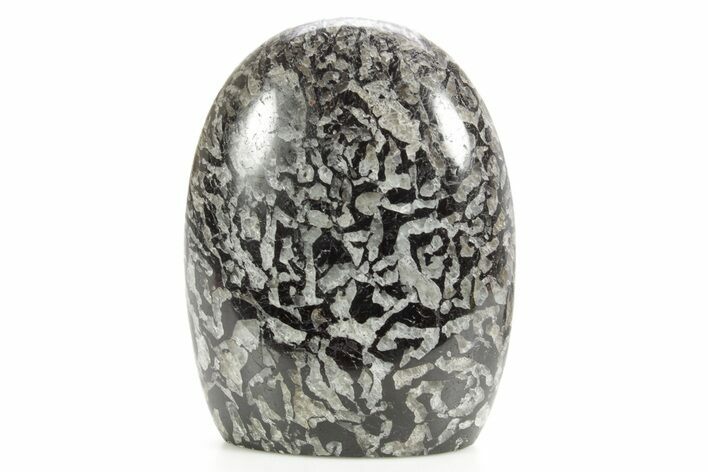 Freestanding Polished Graphic Tourmaline - Madagascar #378851